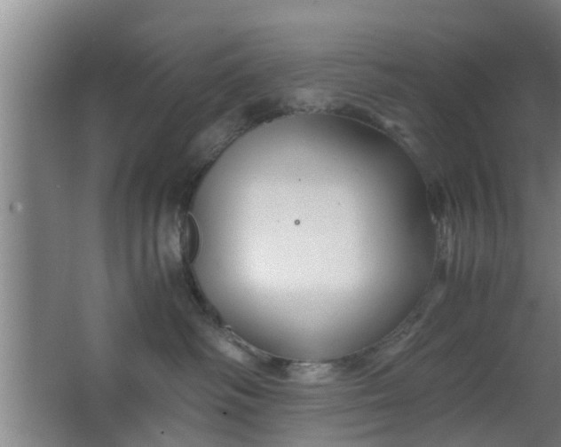 X0000063470334200602031906