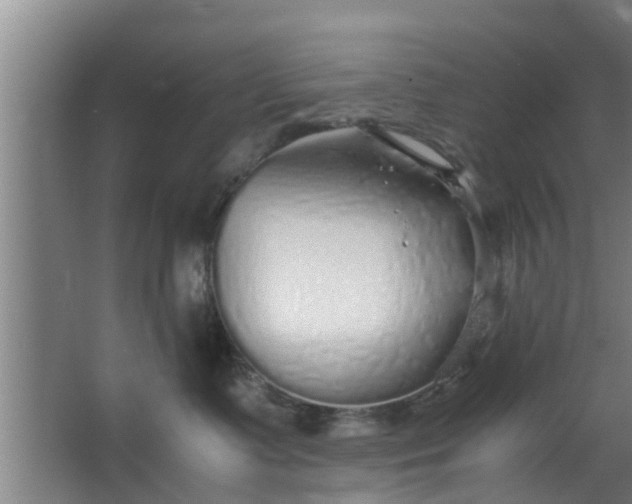 X0000063470335200602031906