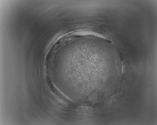 X0000063470339200602031905