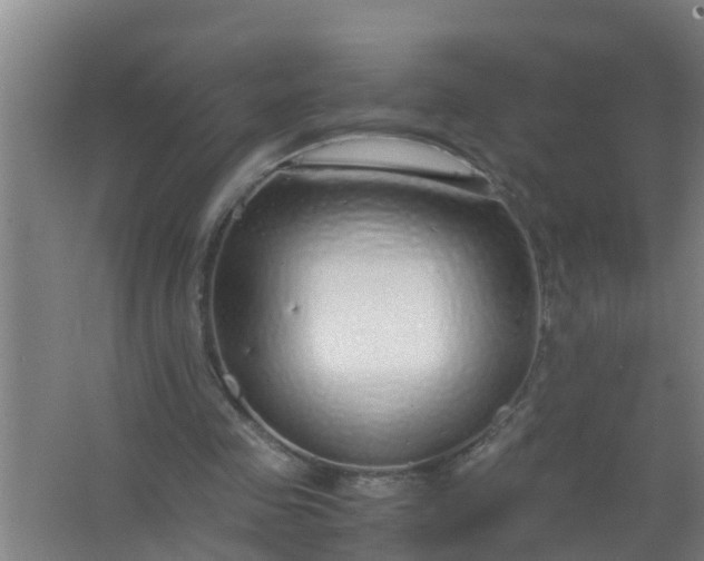 X0000063470341200602031905