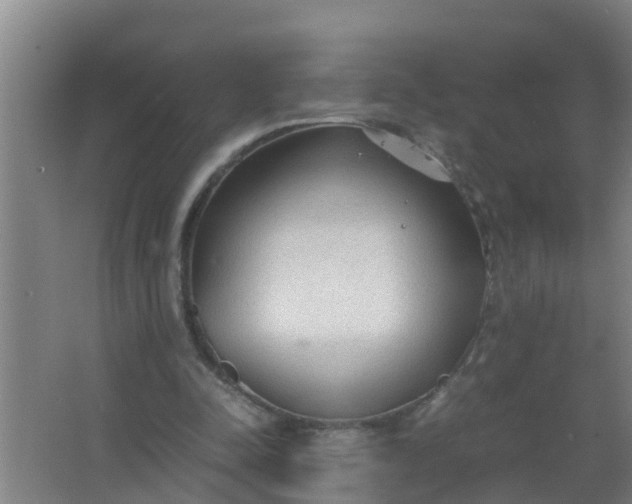 X0000063470342200602031905