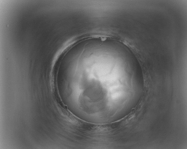 X0000063470343200602031905