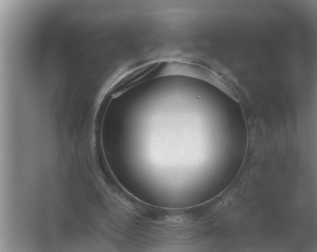 X0000063470344200602031905