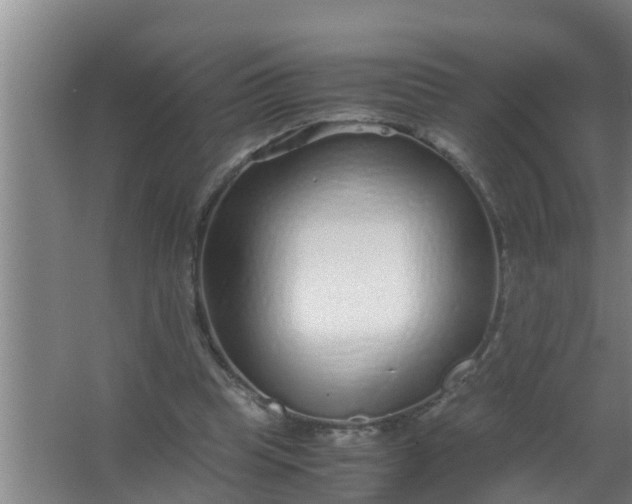 X0000063470345200602031905