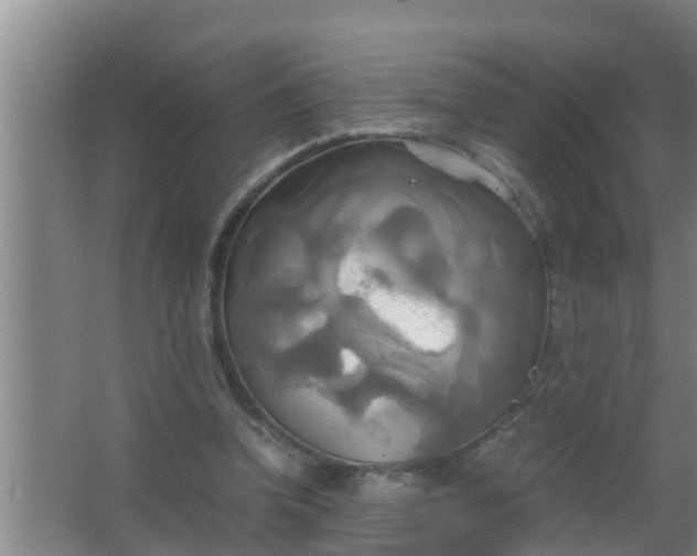 X0000063470346200602031905