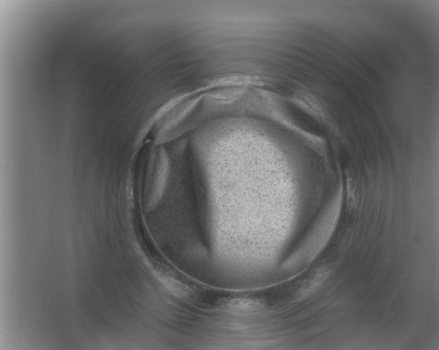 X0000063470348200602031905