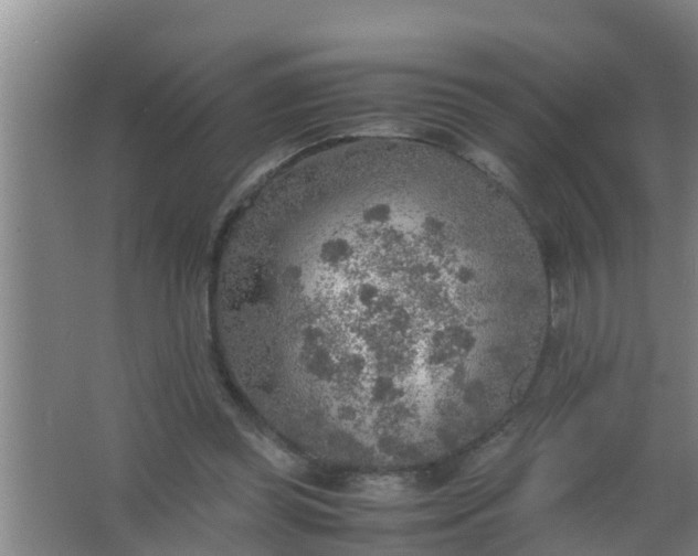 X0000063470349200602031905