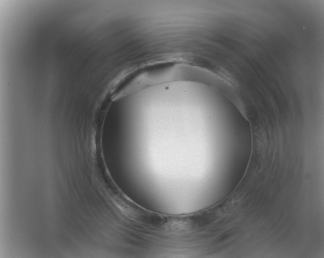 X0000063470350200602031905