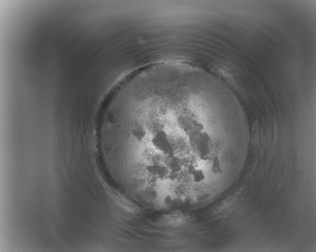 X0000063470351200602031905