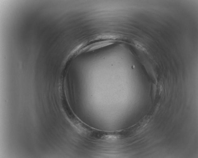 X0000063470352200602031905