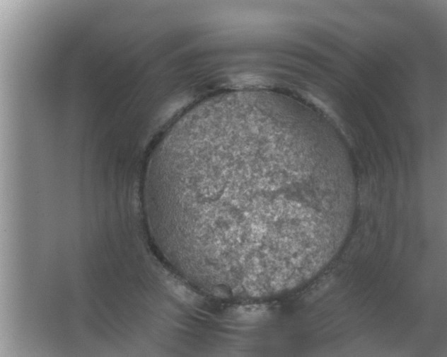 X0000063470353200602031905