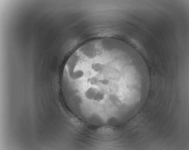 X0000063470354200602031905