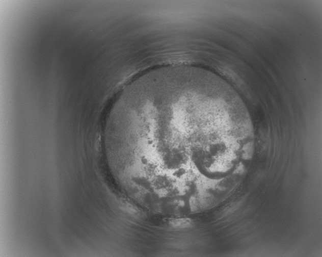 X0000063470355200602031906