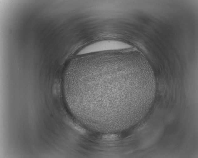 X0000063470357200602031906