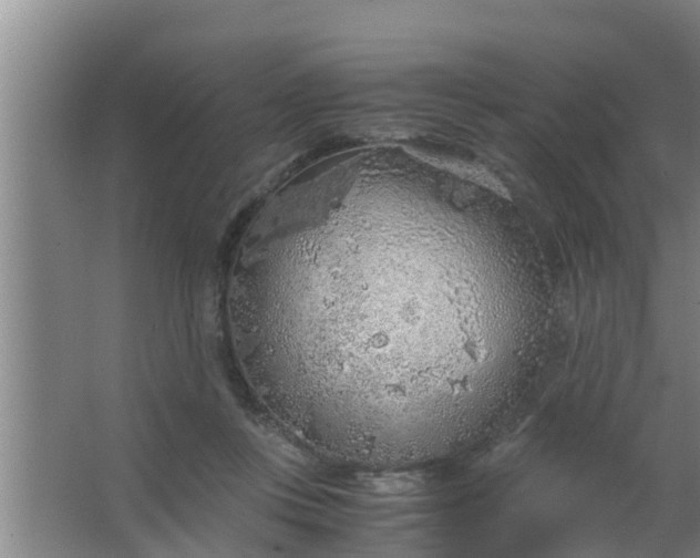 X0000063470359200602031906