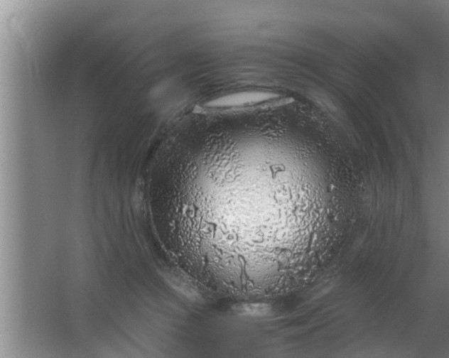 X0000063470361200602031906