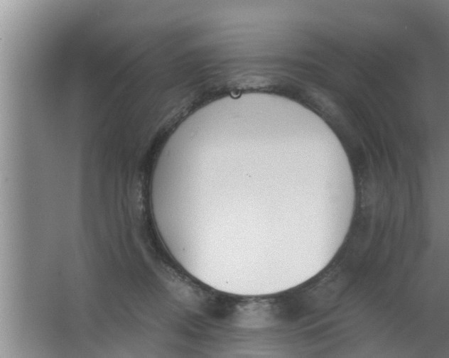 X0000063470362200602031906