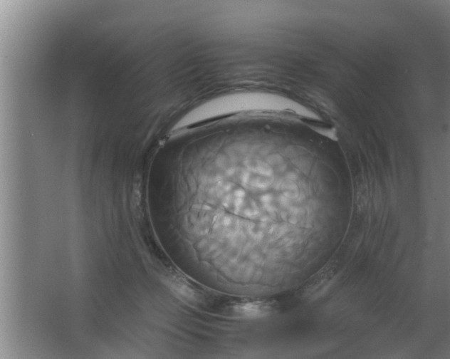 X0000063470365200602031906