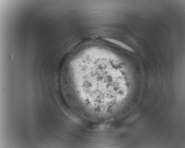 X0000063470366200602031906