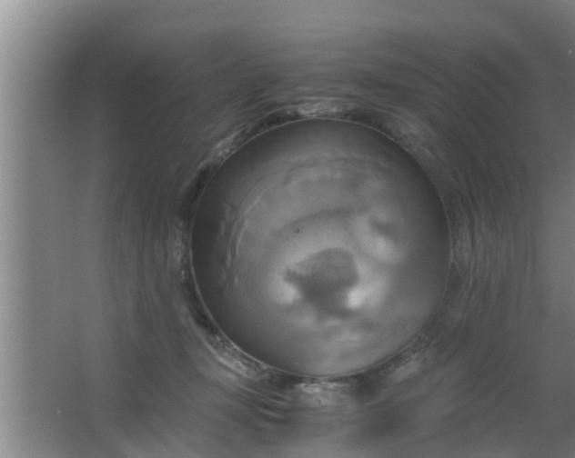 X0000063470367200602031906