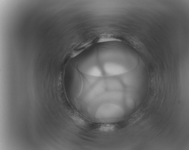 X0000063470369200602031906