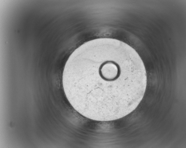 X0000063470370200602031906