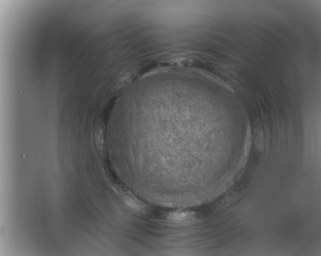 X0000063470375200602031906