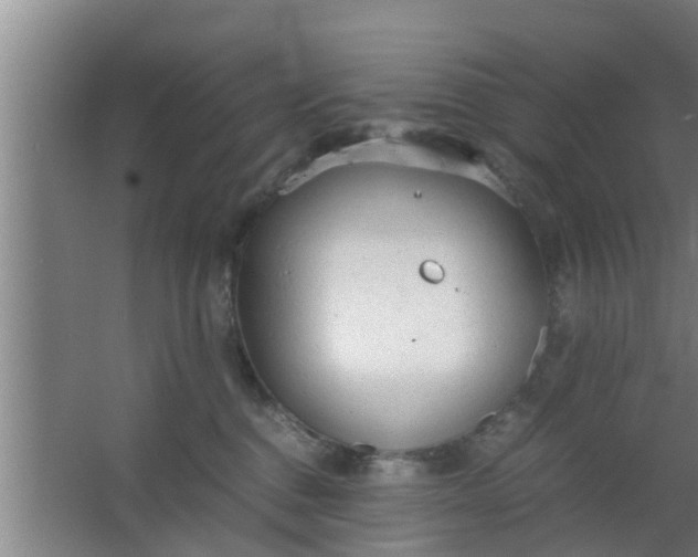 X0000063470376200602031906