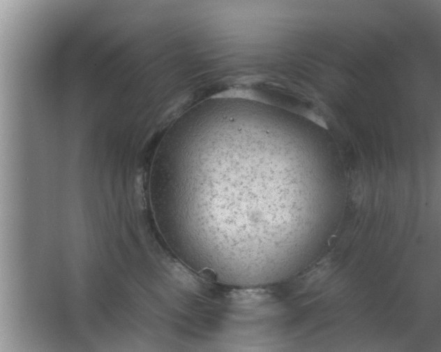 X0000063470378200602031906