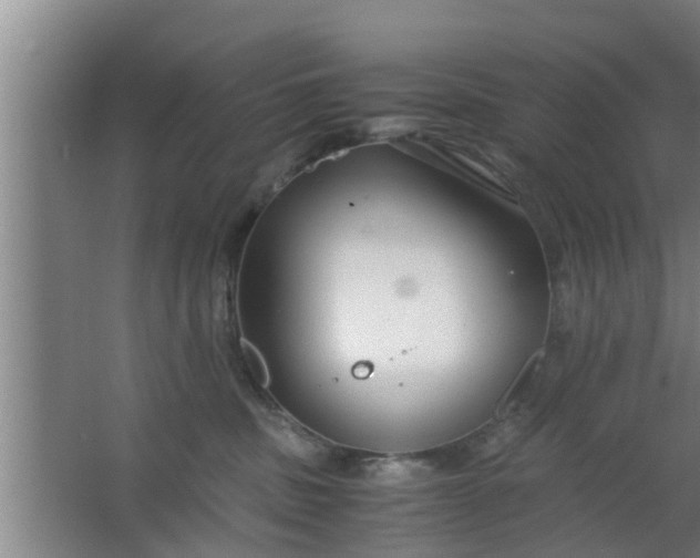 X0000063470379200602031906