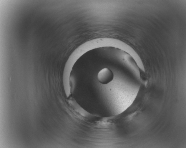 X0000063470380200602031906