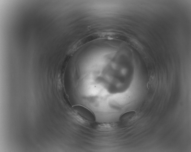 X0000063470381200602031906