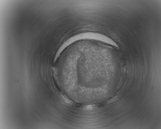 X0000063470382200602031906