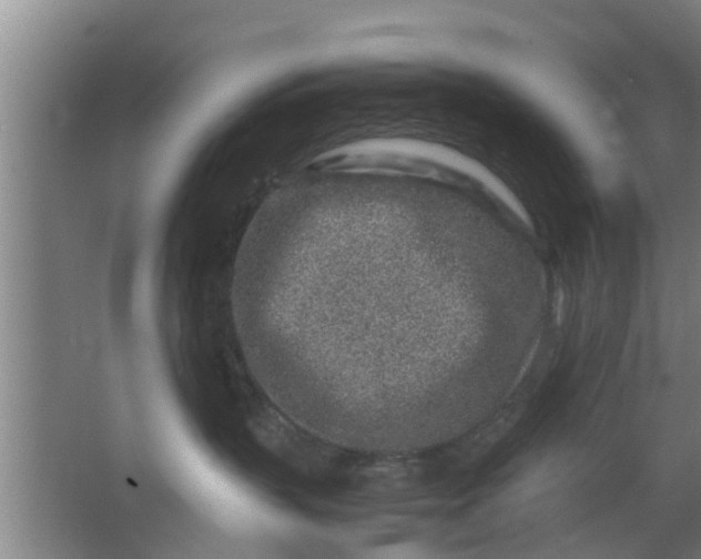 X0000063470383200602031906