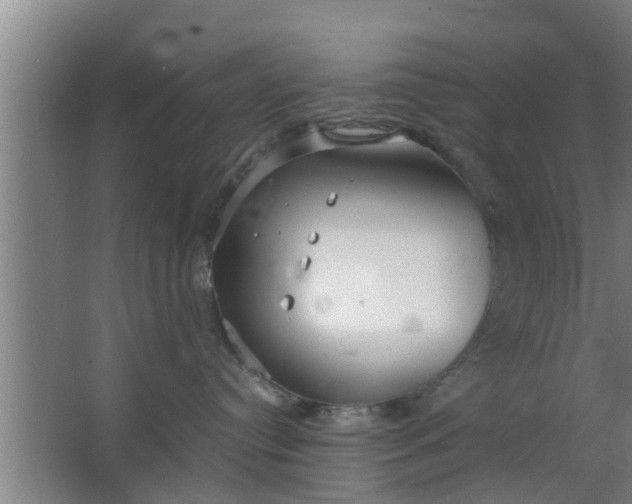 X0000063470384200602031906