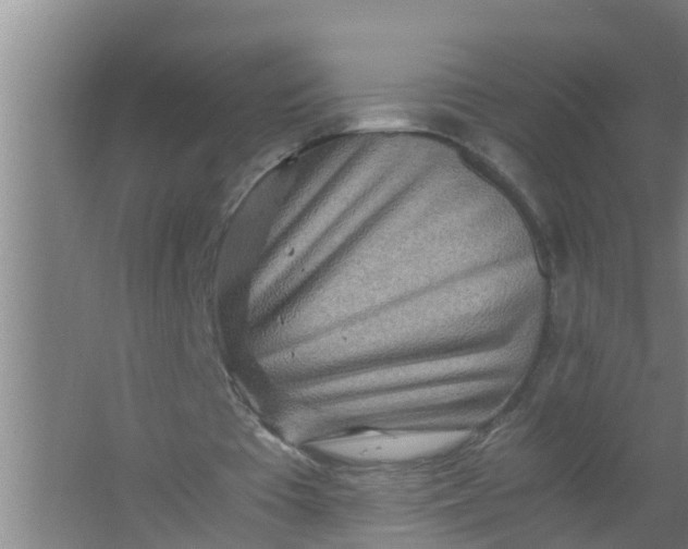 X0000063470385200602031905