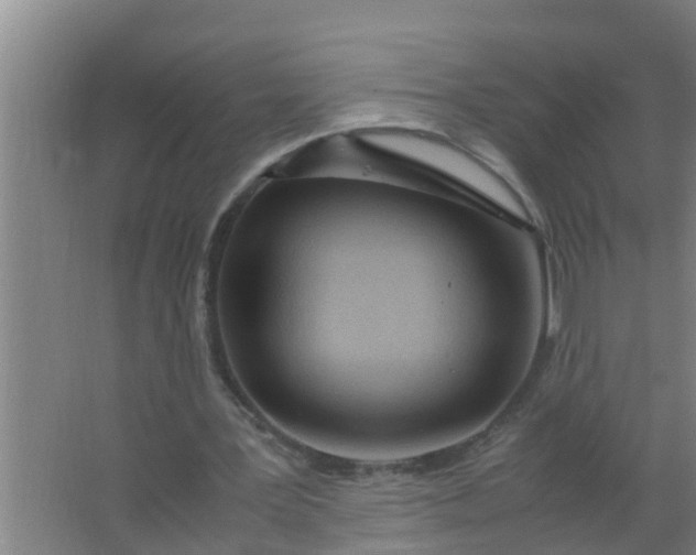 X0000063470387200602031905