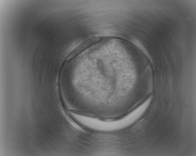 X0000063470389200602031905