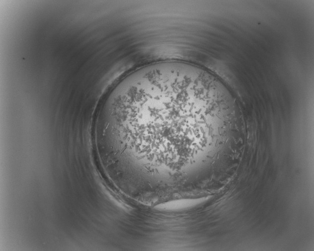 X0000063470390200602031905