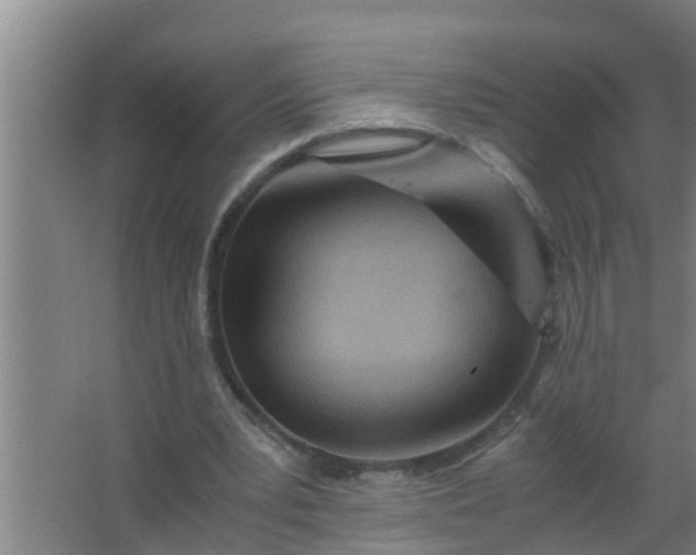 X0000063470391200602031905