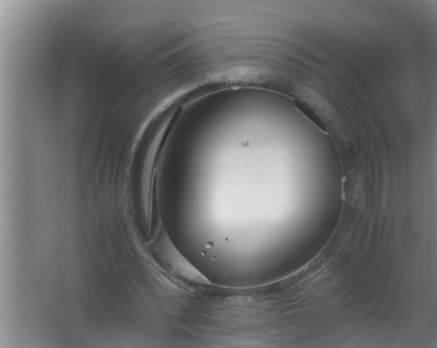 X0000063470392200602031905