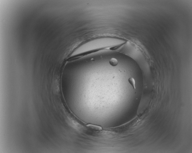 X0000063470393200602031905