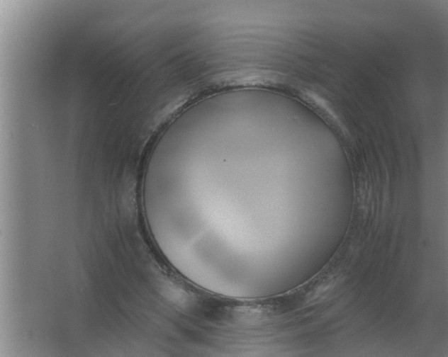 X0000063470394200602031905