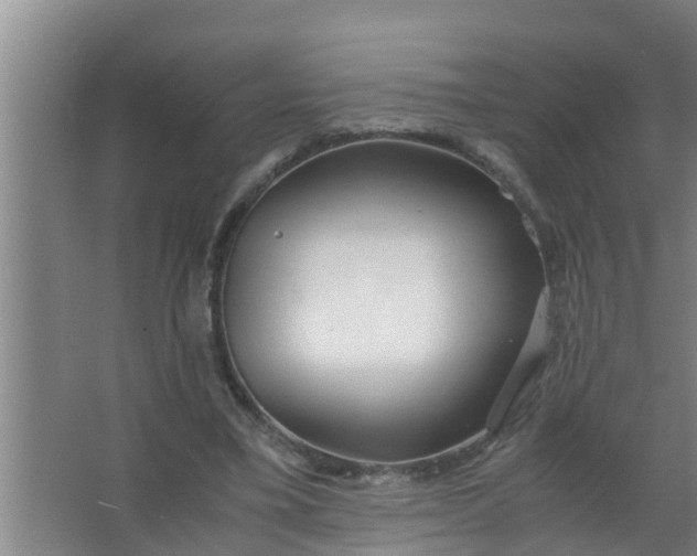 X0000063470395200602031905