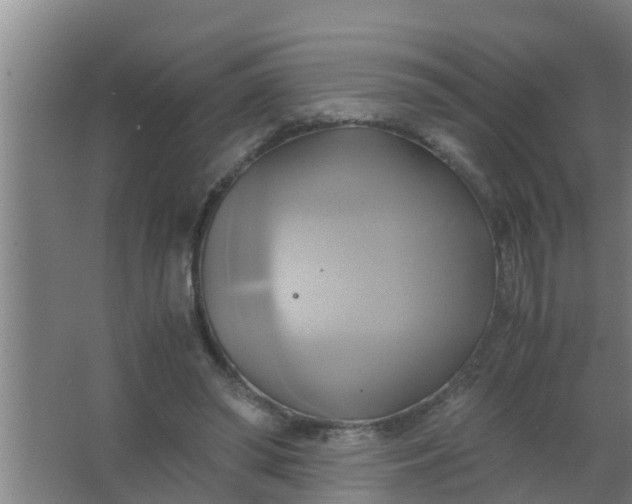 X0000063470398200602031905