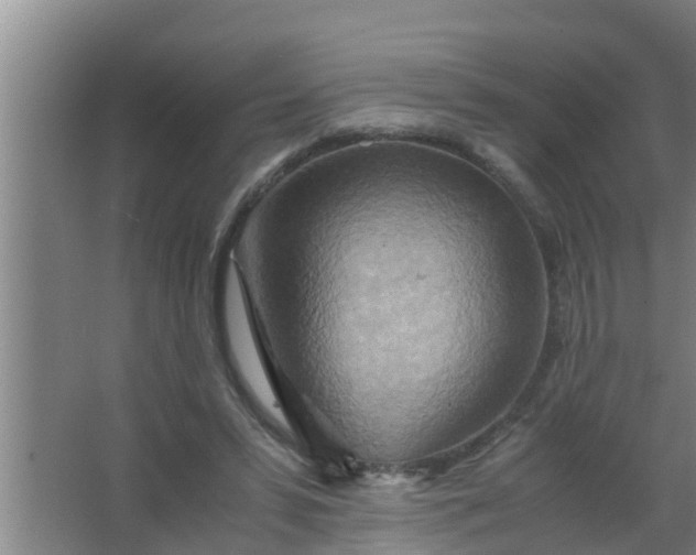 X0000063470399200602031905