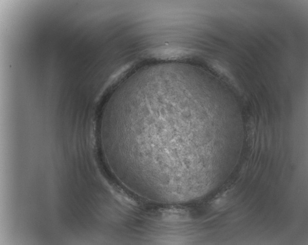 X0000063470400200602031905