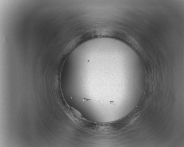 X0000063470401200602031905