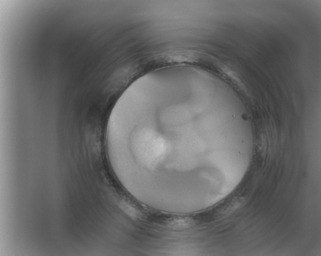 X0000063470402200602031905