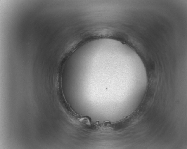 X0000063470403200602031905